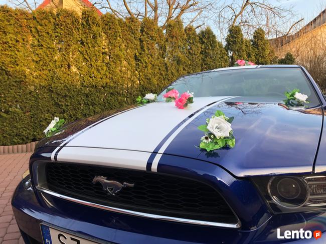 FORD MUSTANG 3.7 - Do ślubu • studniówki • sesje • KOSZULKI