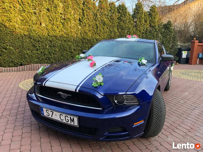 FORD MUSTANG 3.7 - Do ślubu • studniówki • sesje • KOSZULKI