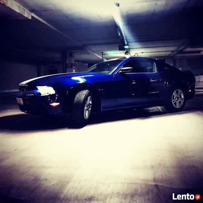 FORD MUSTANG 3.7 - Do ślubu • studniówki • sesje • KOSZULKI