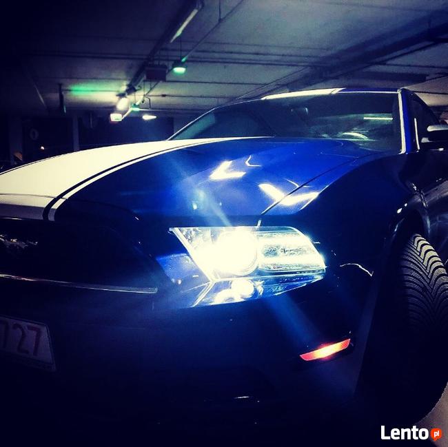 FORD MUSTANG 3.7 - Do ślubu • studniówki • sesje • KOSZULKI