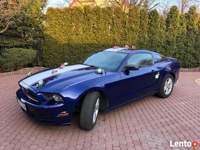 FORD MUSTANG 3.7 - Do ślubu • studniówki • sesje • KOSZULKI