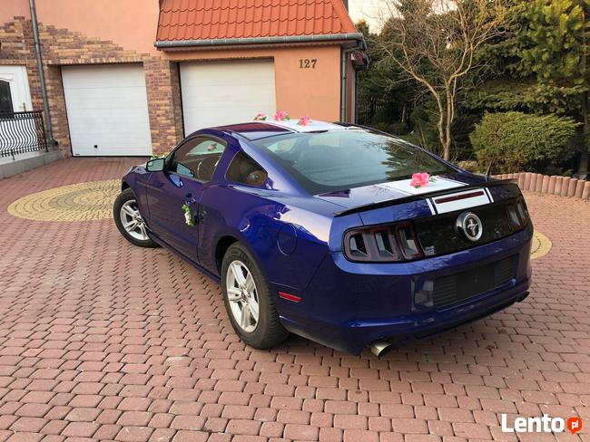 FORD MUSTANG 3.7 - Do ślubu • studniówki • sesje • KOSZULKI