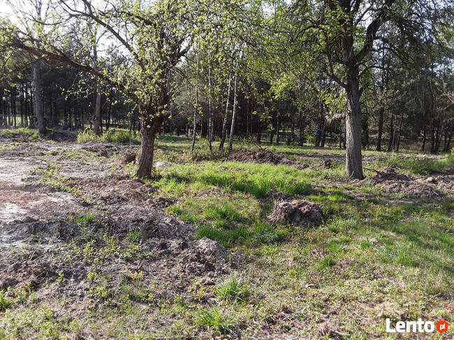 Działki Golesze sąsiedztwo Zalew Sulejowski