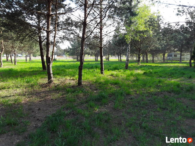 Działki Golesze sąsiedztwo Zalew Sulejowski