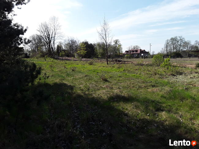 Działki Golesze sąsiedztwo Zalew Sulejowski