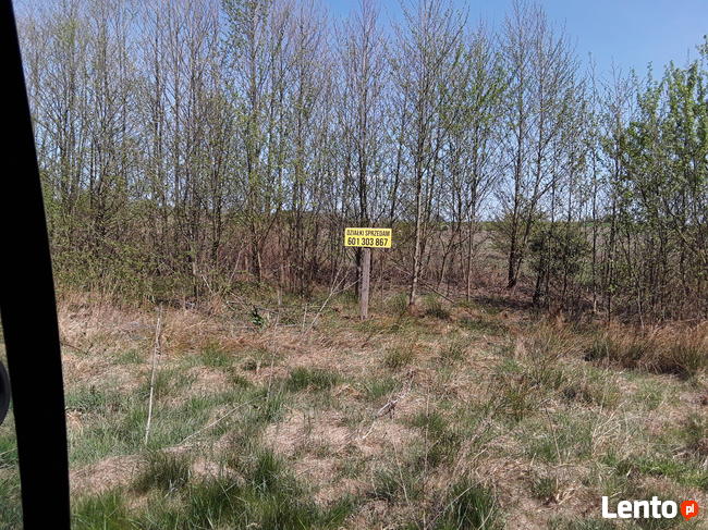 Atrakcyjne działki sąsiedztwo Zalew Cieszanowicki