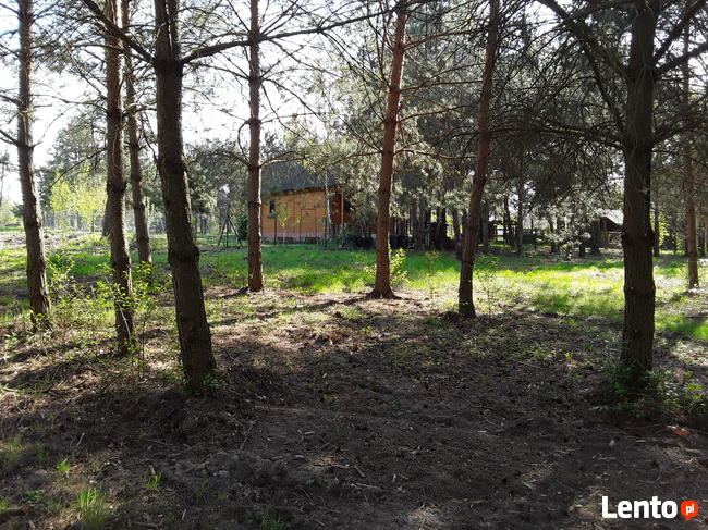 Działki Golesze sąsiedztwo Zalew Sulejowski