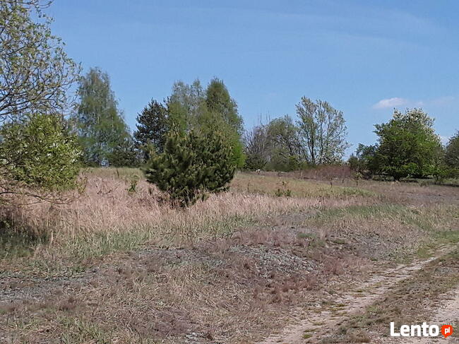 Atrakcyjne działki sąsiedztwo Zalew Cieszanowicki