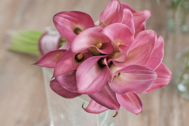 Wedding planner Warszawa - konsultant ślubny Warszawa