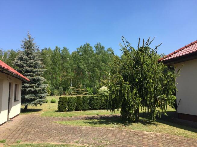 Posiadłość Janowice przy węźle A2, dom 300m2, działka 5000m2