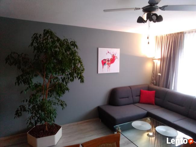 Kwatery komfort - apartament Domotel LUX dla 6 os.w centrum