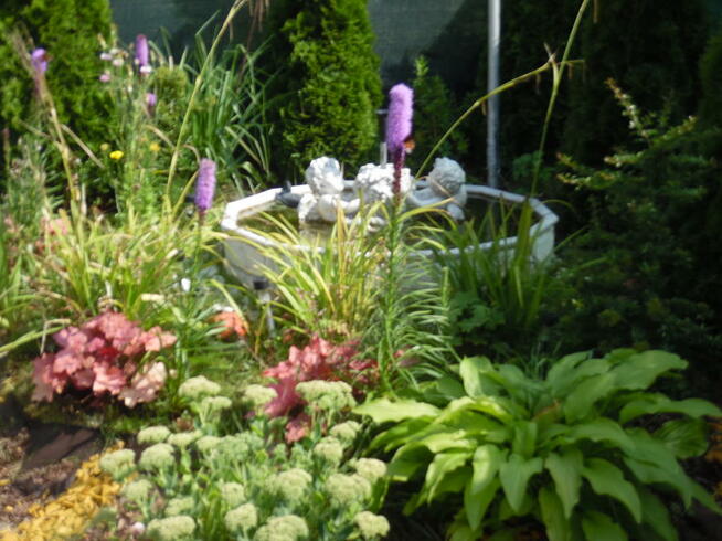 Władek Nocleg tel.797872382 Fajne Noclegi Władysławowo Maj