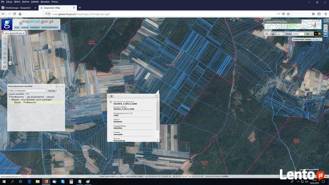 Las na Roztoczu w Krasnobrodzie w okolicach szuru