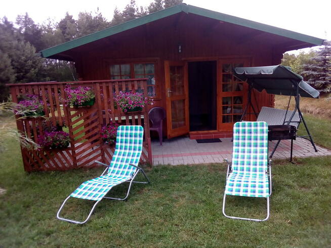 Wypoczynek w Borach Tucholskich