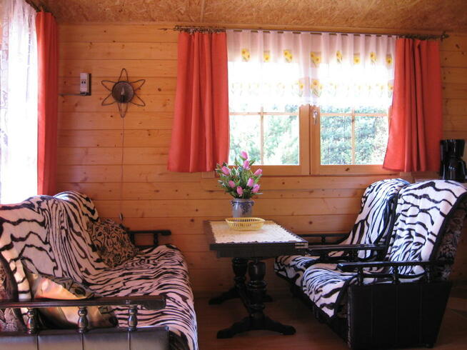 Wypoczynek w Borach Tucholskich