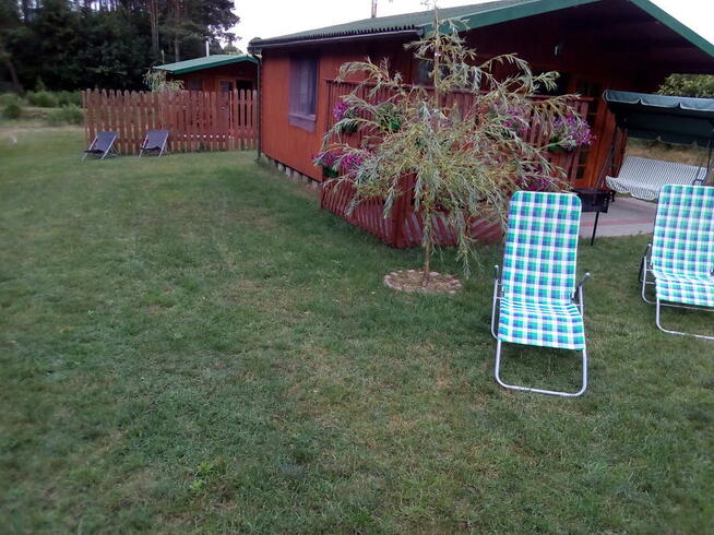 Wypoczynek w Borach Tucholskich