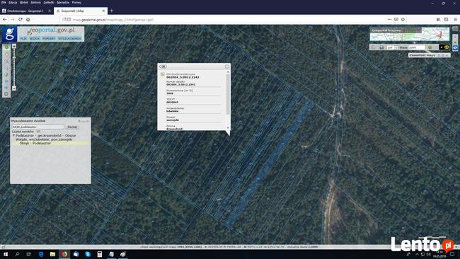 Las na Roztoczu Krasnobród
