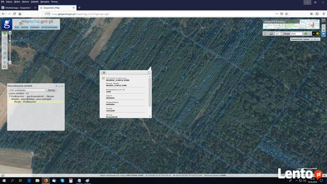 Las na Roztoczu w Krasnobrodzie w okolicach szuru