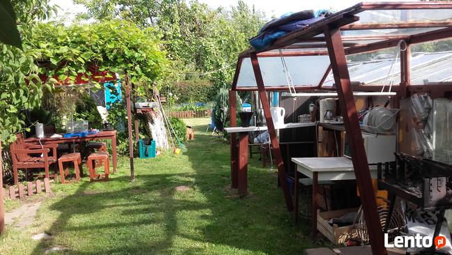 pole namiotowe ,,Oaza