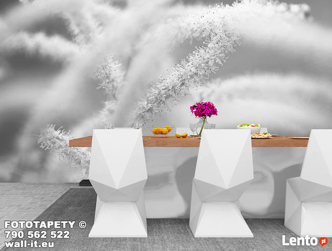 Nowoczesna fototapeta szara rozmycia Fototapety do salonu