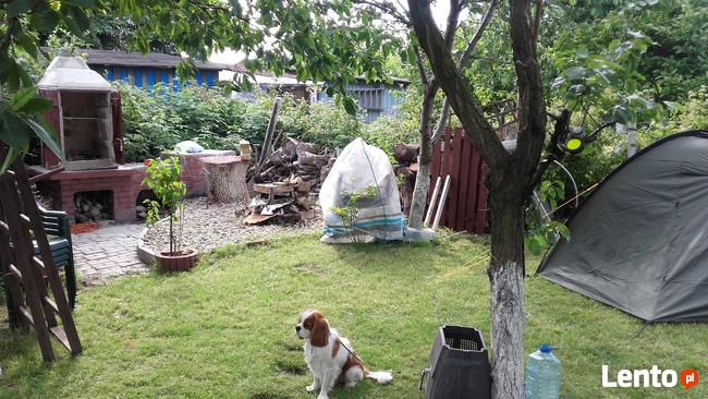 pole namiotowe ,,Oaza