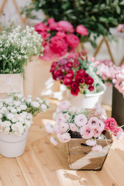 Ale- ładnie dekoracje ślubne i weselne, florystyka ślubna.