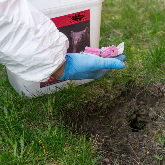Dezynsekcja, dezynfekcja i deratyzacja Bydgoszcz oraz okolic