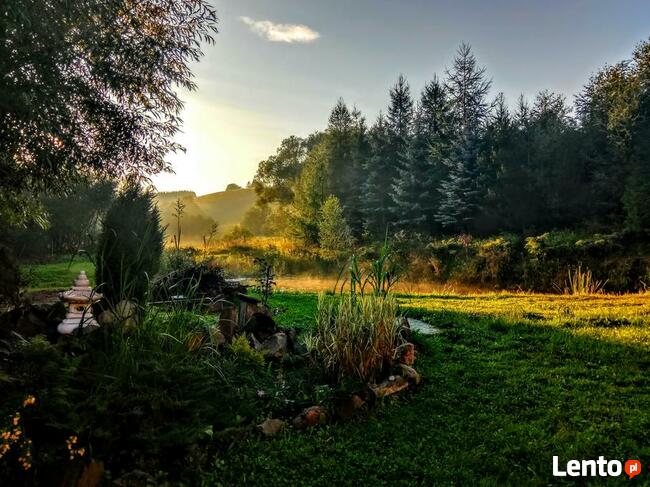 Sprzedam ładną dużą działkę w górach Sudetach