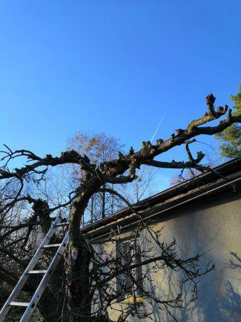Porządki w ogrodzie i nie tylko.