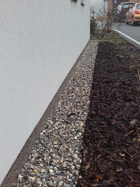 MUSZLE MORSKIE, OZDOBNE, OGRODOWE.NOWOŚĆ!