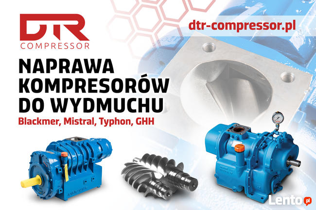 Kompresor do wydmuchu blackmer mistral N 20R