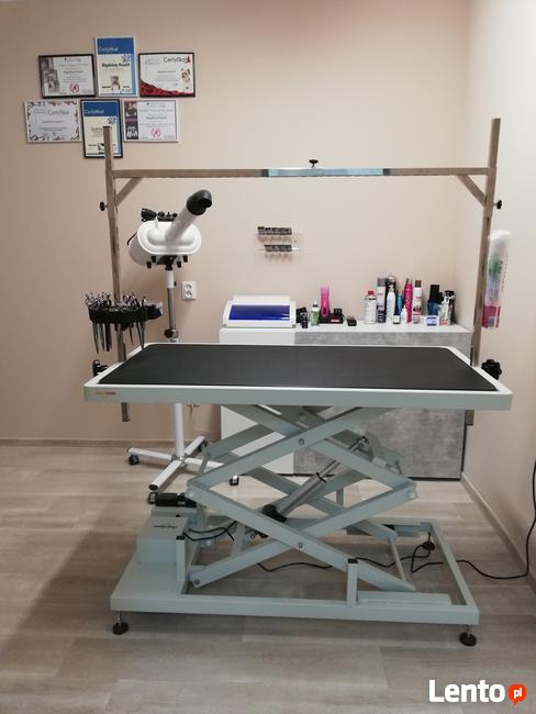 Szombierki Bytom psi fryzjer, fryzjer dla psów, groomer