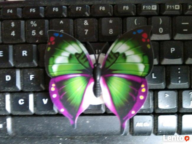 Motylki dekoracyjne