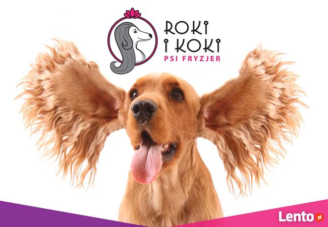 Szombierki Bytom psi fryzjer, fryzjer dla psów, groomer