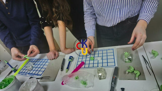 PROTETYK SŁUCHU - SZKOŁA CAŁKOWICIE BEZPŁATNA !