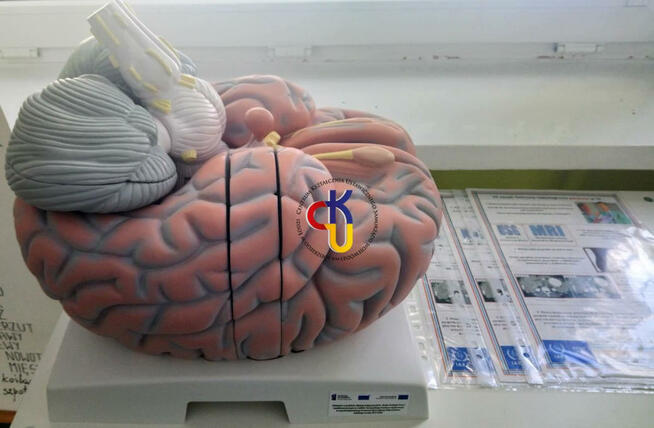 TECHNIK ELEKTRORADIOLOG - NAUKA CAŁKOWICIE DARMOWA !!!