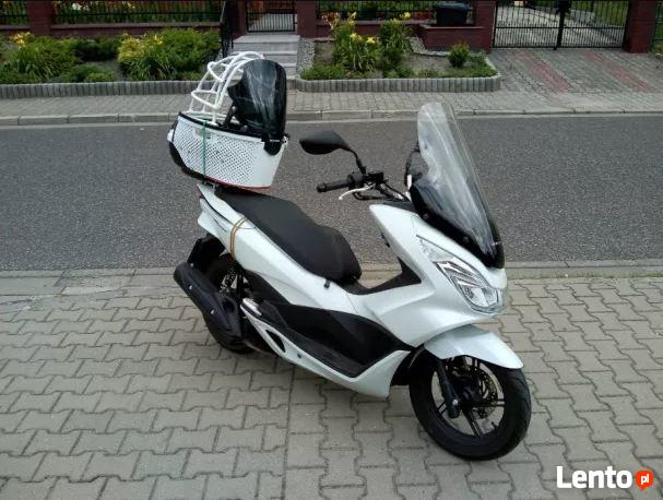 Przewóz psa na skuterze/motocyklu!