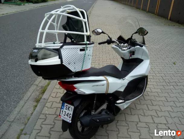 Przewóz psa na skuterze/motocyklu!