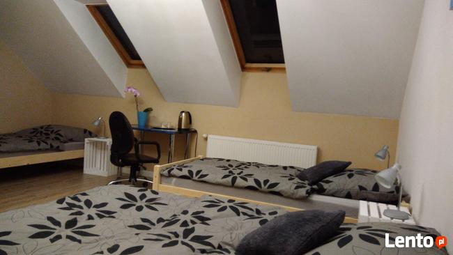 kwatery pracownicze, noclegi Lisi Ogon koło Bydgoszcz