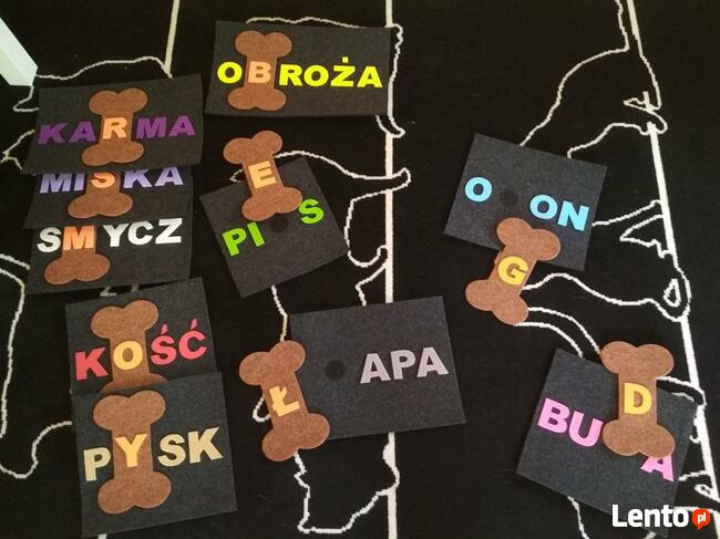 Czytanie z psem -program R.E.A.D wspomagający naukę czytania