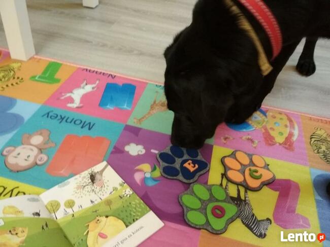 Czytanie z psem -program R.E.A.D wspomagający naukę czytania