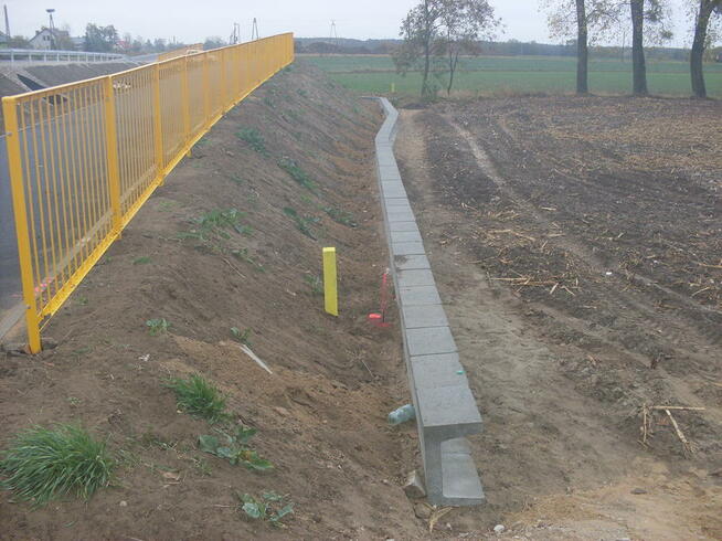 Ogrodzenia naprowadzające dla płazów MARCIN HERKA