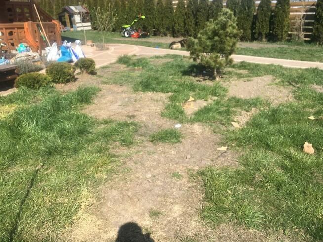 Glebogryzarka separacyjna usługi Biała Podlaska • 605179225