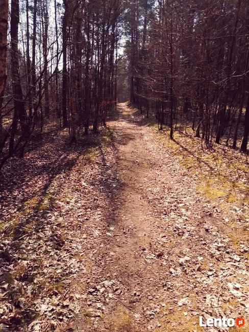 Dom letniskowy przy lesie i blisko jeziora w Lewinku
