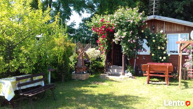 WAKACJE NAD MORZEM MECHELINKI, REWIE KOŁ.GDYNI KOSAKOWO