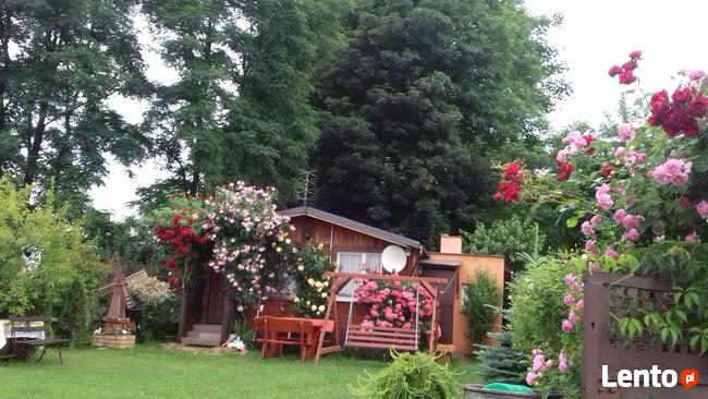 WAKACJE NAD MORZEM MECHELINKI, REWIE KOŁ.GDYNI KOSAKOWO