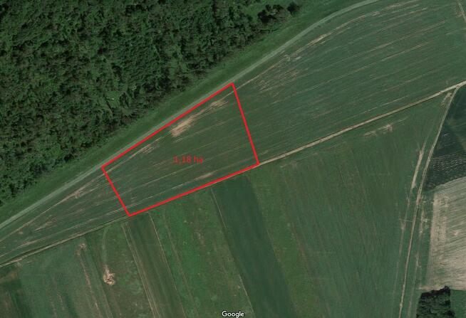 Działka rolna 1,18 ha - Rzeczyca (gm. Środa Śląska)