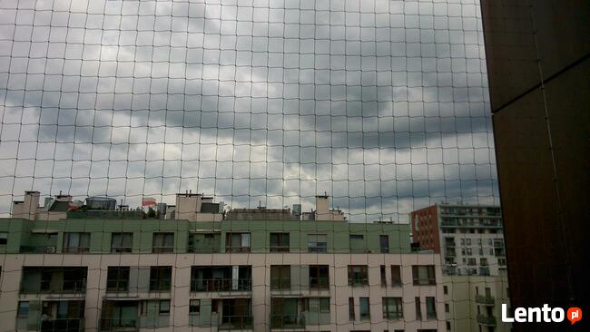 Siatka balkonowa, zabezpieczenie dla kota, przeciw ptakom