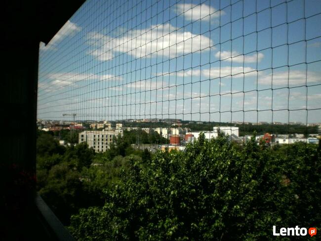 Siatka balkonowa, zabezpieczenie dla kota, przeciw ptakom