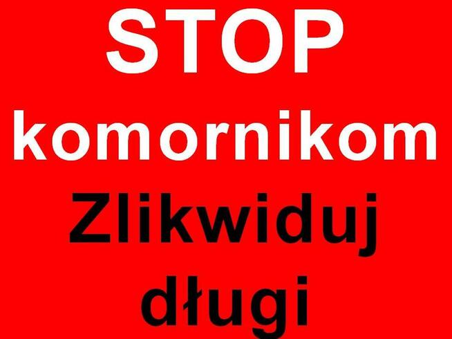 Oddłużanie, ochrona majątku, upadłość